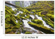 Proxy Falls In Willamette National Forest Wall Mural