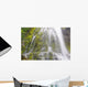 Proxy Falls In Willamette National Forest Wall Mural