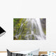 Proxy Falls In Willamette National Forest Wall Mural