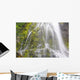 Proxy Falls In Willamette National Forest Wall Mural
