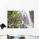 Proxy Falls In Willamette National Forest Wall Mural