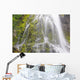 Proxy Falls In Willamette National Forest Wall Mural