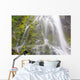Proxy Falls In Willamette National Forest Wall Mural