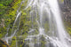 Proxy Falls In Willamette National Forest Wall Mural