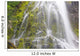 Proxy Falls In Willamette National Forest Wall Mural