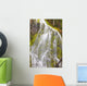 Proxy Falls In Willamette National Forest Wall Mural