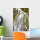 Proxy Falls In Willamette National Forest Wall Mural