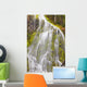 Proxy Falls In Willamette National Forest Wall Mural