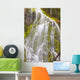 Proxy Falls In Willamette National Forest Wall Mural