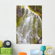 Proxy Falls In Willamette National Forest Wall Mural