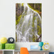 Proxy Falls In Willamette National Forest Wall Mural