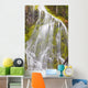 Proxy Falls In Willamette National Forest Wall Mural