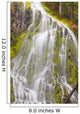 Proxy Falls In Willamette National Forest Wall Mural