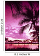 Pink Filter B1509 Wall Mural
