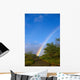 Hawaii, Big Island, North Kohala, Rainbow, Old Road, Kiawe Trees B1469 Wall Mural