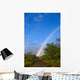Hawaii, Big Island, North Kohala, Rainbow, Old Road, Kiawe Trees B1469 Wall Mural