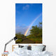 Hawaii, Big Island, North Kohala, Rainbow, Old Road, Kiawe Trees B1469 Wall Mural
