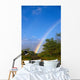 Hawaii, Big Island, North Kohala, Rainbow, Old Road, Kiawe Trees B1469 Wall Mural