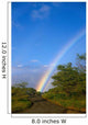 Hawaii, Big Island, North Kohala, Rainbow, Old Road, Kiawe Trees B1469 Wall Mural
