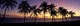 Panoramic B1538 Wall Mural