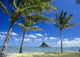 Hawaii, Oahu, Mokoli'i Island Palm Trees, Beach Wall Mural