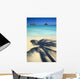 Shadow Of Palm B1489 Wall Mural