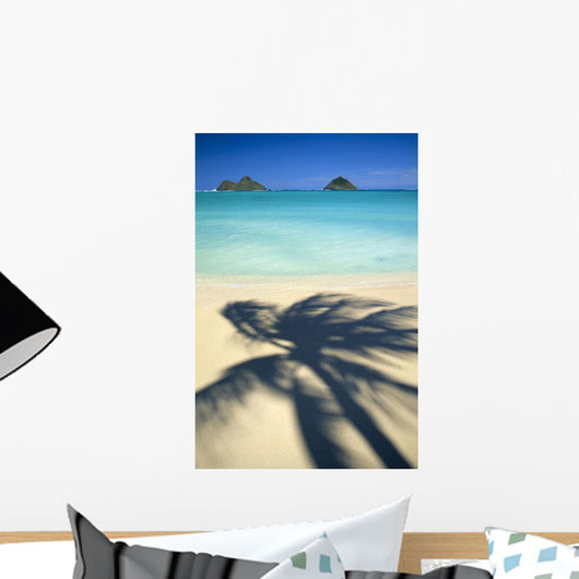 Shadow Of Palm B1489 Wall Mural