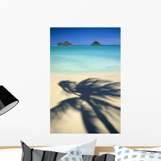 Shadow Of Palm B1489 Wall Mural