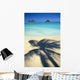 Shadow Of Palm B1489 Wall Mural