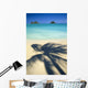 Shadow Of Palm B1489 Wall Mural