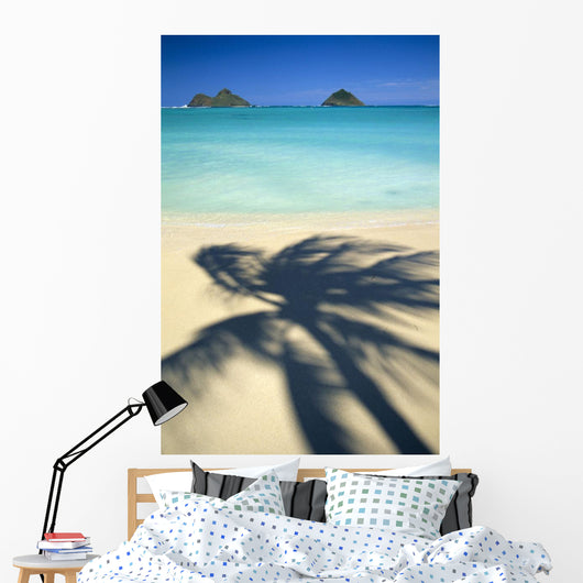 Shadow Of Palm B1489 Wall Mural
