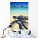 Shadow Of Palm B1489 Wall Mural
