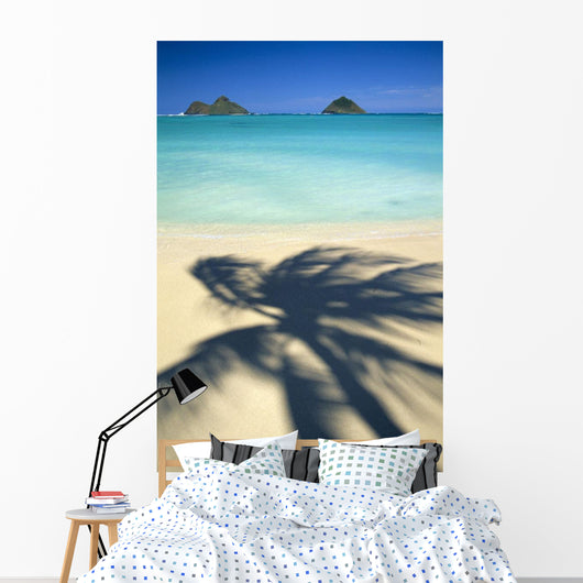 Shadow Of Palm B1489 Wall Mural