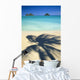 Shadow Of Palm B1489 Wall Mural