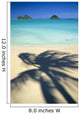 Shadow Of Palm B1489 Wall Mural