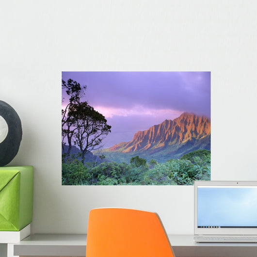 Purple Sky B1535 Wall Mural