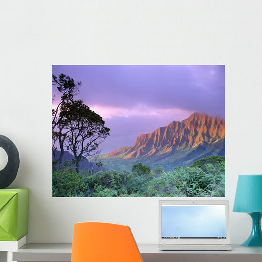 Purple Sky B1535 Wall Mural