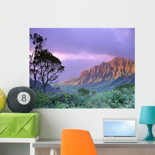 Purple Sky B1535 Wall Mural