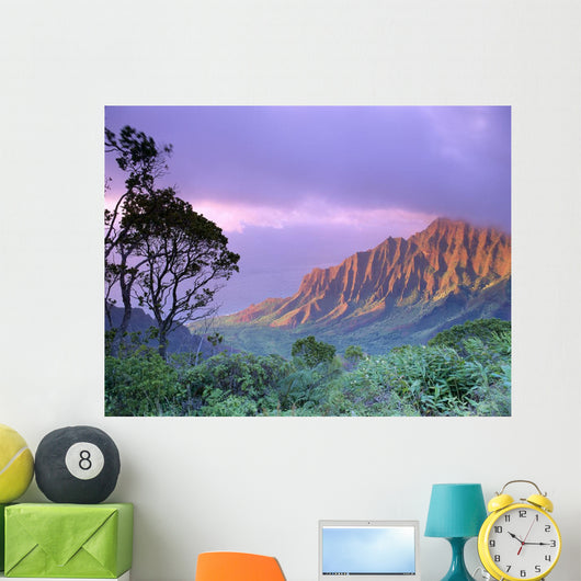 Purple Sky B1535 Wall Mural