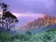 Purple Sky B1535 Wall Mural