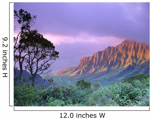 Purple Sky B1535 Wall Mural