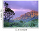 Purple Sky B1535 Wall Mural