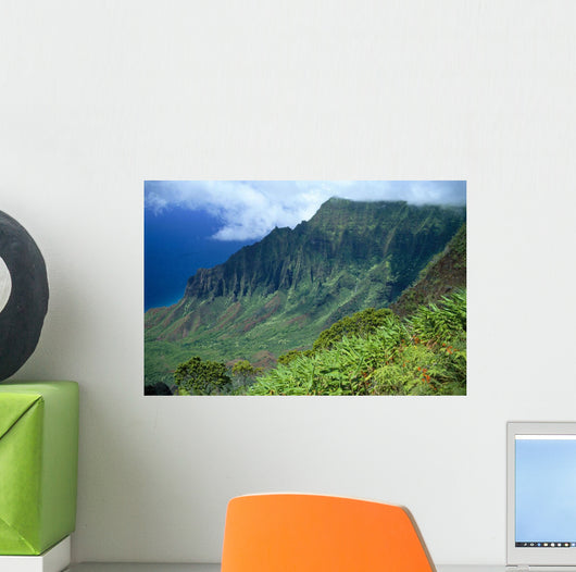 Hawaii, Kauai, North Shore, Kalalau Valley, Kokee State Park B1528 Wall Mural