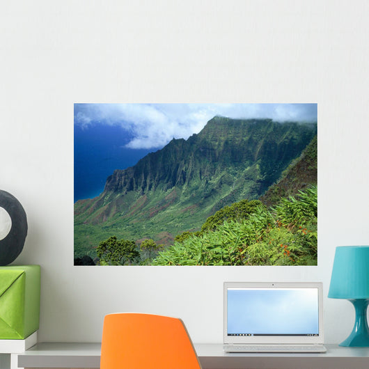 Hawaii, Kauai, North Shore, Kalalau Valley, Kokee State Park B1528 Wall Mural