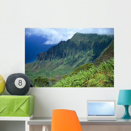 Hawaii, Kauai, North Shore, Kalalau Valley, Kokee State Park B1528 Wall Mural
