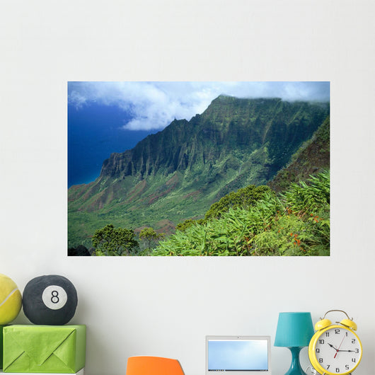 Hawaii, Kauai, North Shore, Kalalau Valley, Kokee State Park B1528 Wall Mural