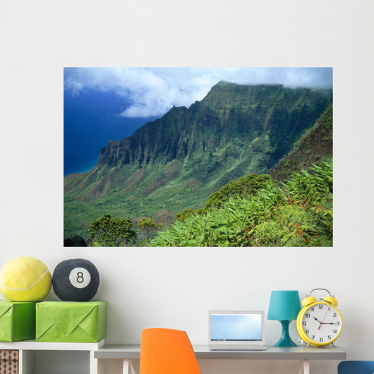 Hawaii, Kauai, North Shore, Kalalau Valley, Kokee State Park B1528 Wall Mural