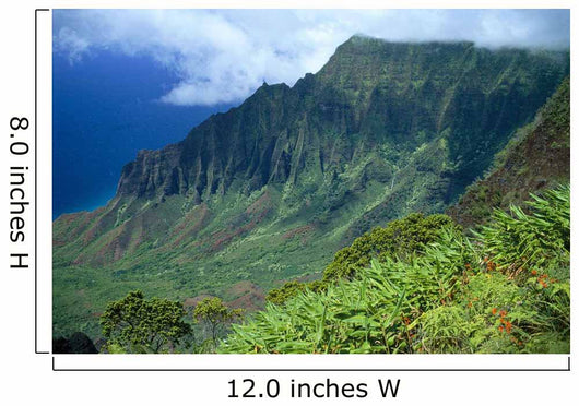 Hawaii, Kauai, North Shore, Kalalau Valley, Kokee State Park B1528 Wall Mural