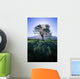 Silhouette Of Tree On Grassy Knoll, Mountain In Background B1628 Wall Mural
