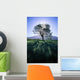 Silhouette Of Tree On Grassy Knoll, Mountain In Background B1628 Wall Mural